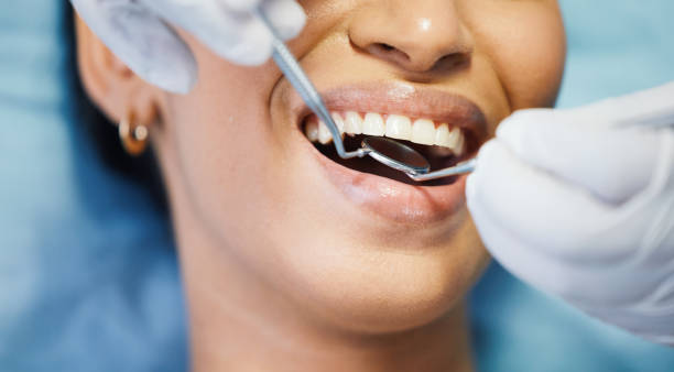 Best After-Hours Emergency Dentist in Cecil Bishop, PA